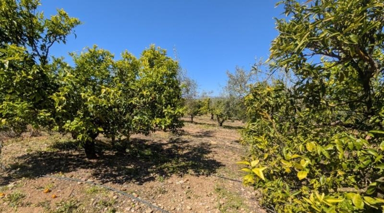 Tarragona - Ulldecona - 90m2