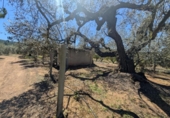 Non-developable land for sale on España, Ulldecona, ref: TR345628 photo