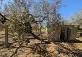 Non-developable land for sale on España, Ulldecona, ref: TR345628 photo