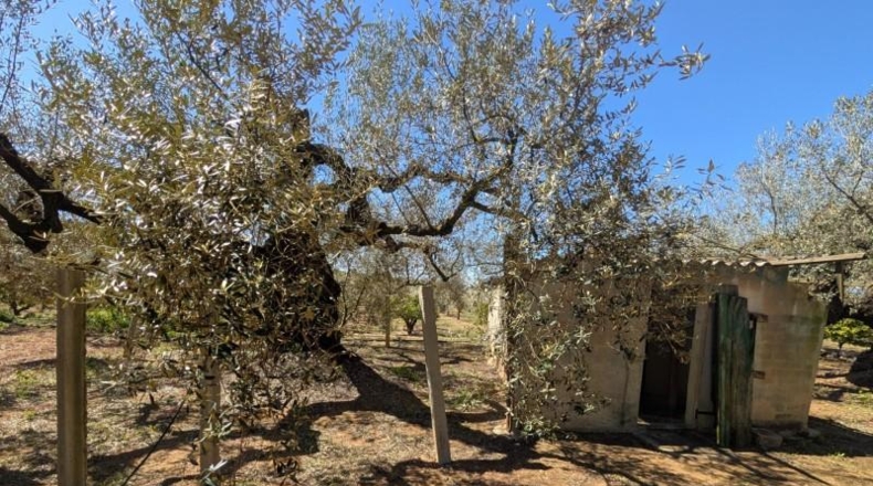 Tarragona - Ulldecona - 90m2