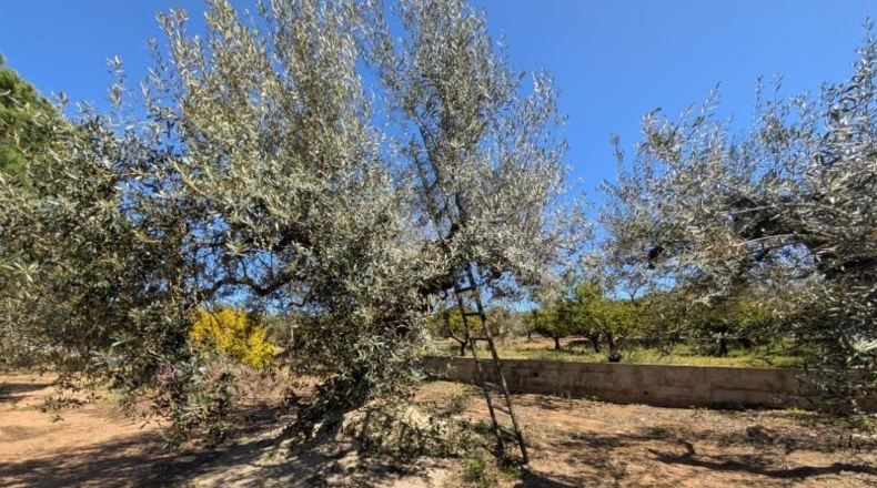 Tarragona - Ulldecona - 90m2