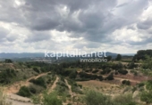 Non-developable land for sale on España, La Llosa de Ranes, ref: TR348294 photo
