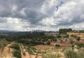 Non-developable land for sale on España, La Llosa de Ranes, ref: TR348294 photo