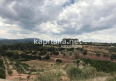 Non-developable land for sale on España, La Llosa de Ranes, ref: TR348294 photo