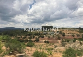 Non-developable land for sale on España, La Llosa de Ranes, ref: TR348294 photo