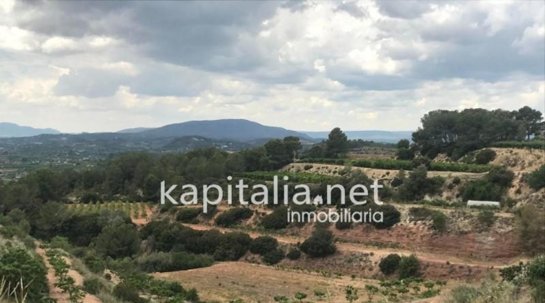 Valencia - Llosa de Ranes - 32308m2
