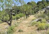 Xalet independent amb terreny en venda a la España, Benifato, ref.: TR353078 foto
