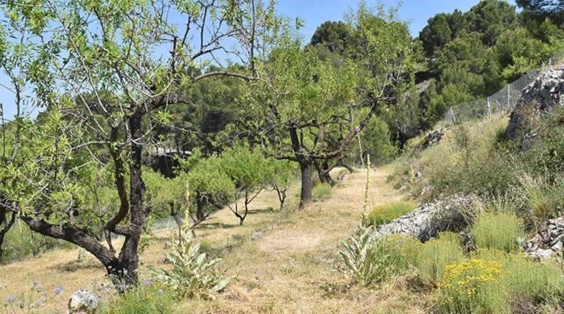 Alicante - Бенифато - 7352m2