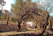 Xalet independent amb terreny en venda a la España, Benifato, ref.: TR353078 foto