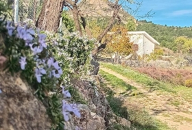 Foto 15