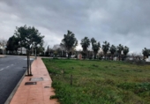 Urban land for sale on España, Casar de Cáceres, ref: TR129179 photo