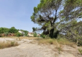 Land suitable for development for sale on España, Masquefa, ref: TR131806 photo