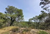 Land suitable for development for sale on España, Masquefa, ref: TR131806 photo