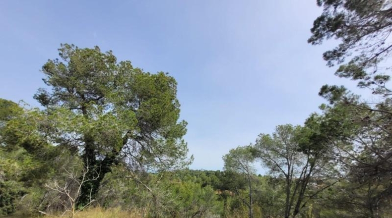 Barcelona - Masquefa - 800m2