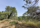 Land suitable for development for sale on España, Masquefa, ref: TR131806 photo