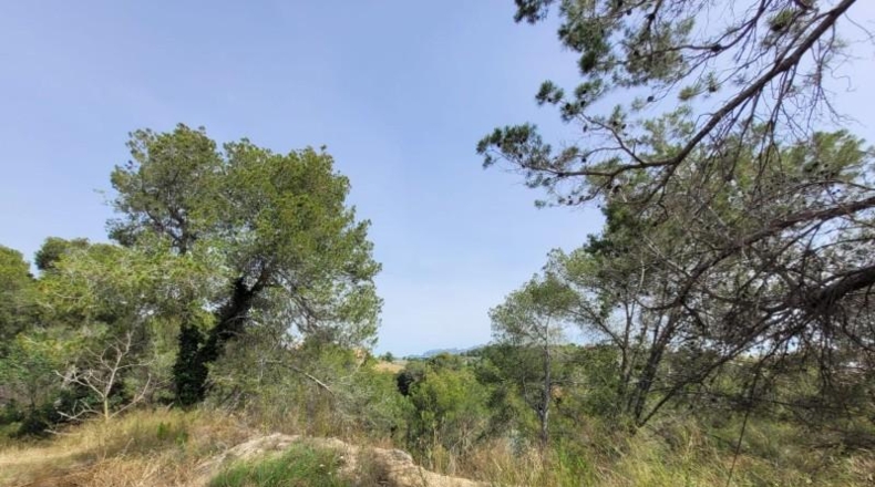 Barcelona - Masquefa - 800m2