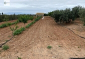Terreny no urbanitzable en venda a la España, Lorca, ref.: TR125352 foto