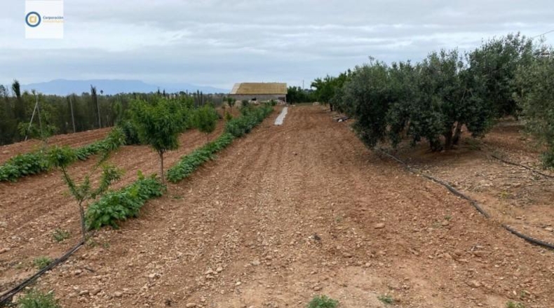 Múrcia - Lorca - 5000m2
