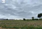 Terreny no urbanitzable en venda a la España, Lorca, ref.: TR125352 foto