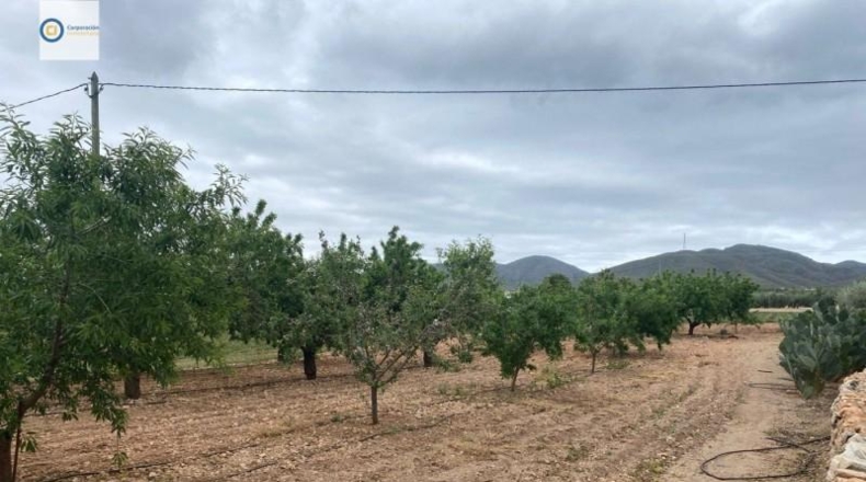 Múrcia - Lorca - 5000m2