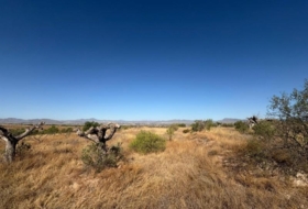 Lorca 6074&nbsp;m² 