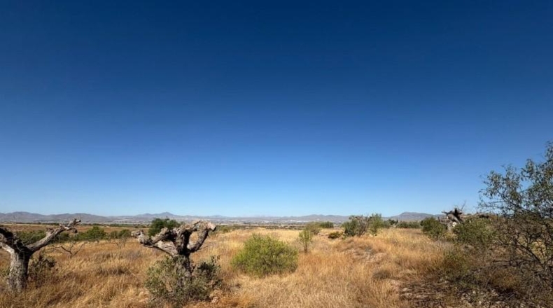 Murcia - Lorca - 6074m2