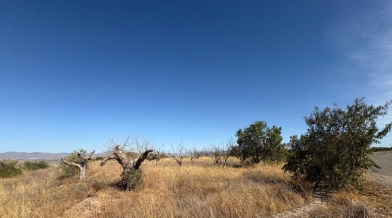Murcia - Lorca - 6074m2