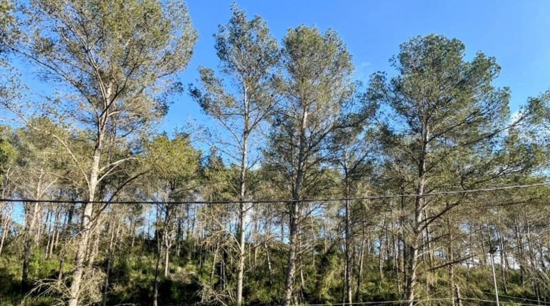 Barcelona - Sant Pere de Ribes - 689m2