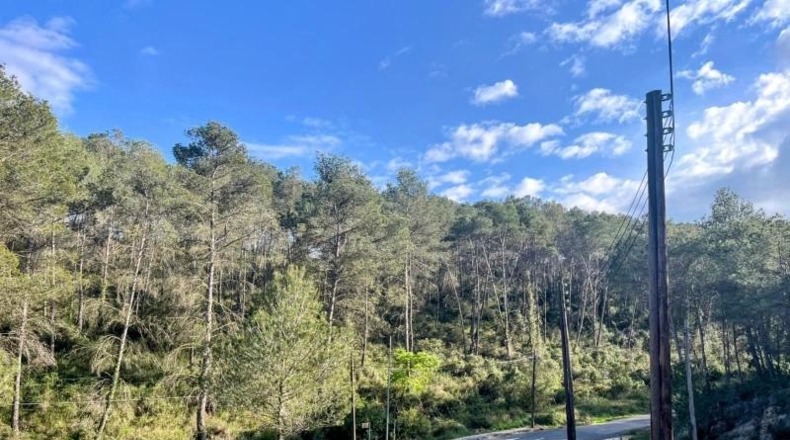 Barcelona - Sant Pere de Ribes - 689m2