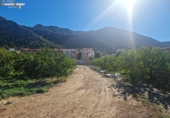 Terreny no urbanitzable en venda a la España, Múrcia, ref.: TR287368 foto