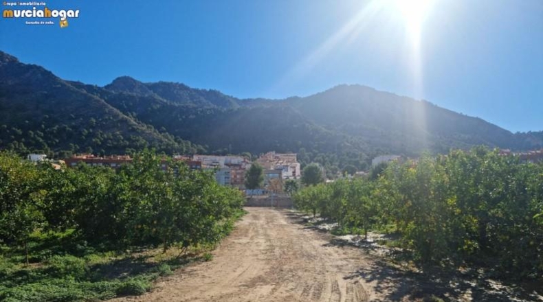 Alicante - Torrevella - 6708m2