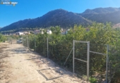 Terreny no urbanitzable en venda a la España, Múrcia, ref.: TR287368 foto