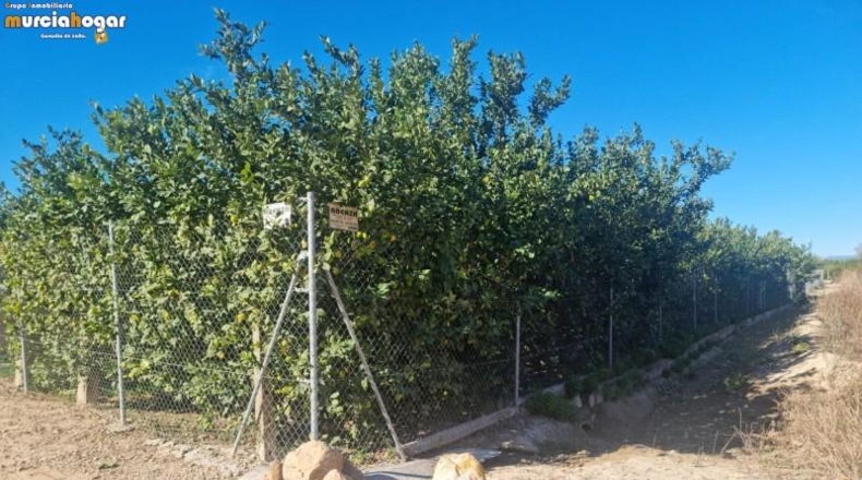 Alicante - Torrevella - 6708m2