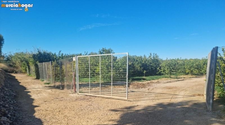 Alicante - Torrevella - 6708m2