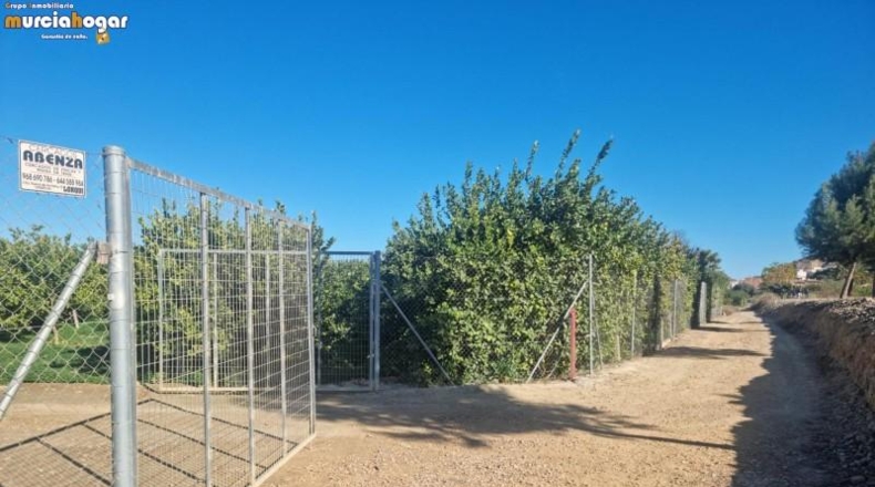 Alicante - Torrevella - 6708m2
