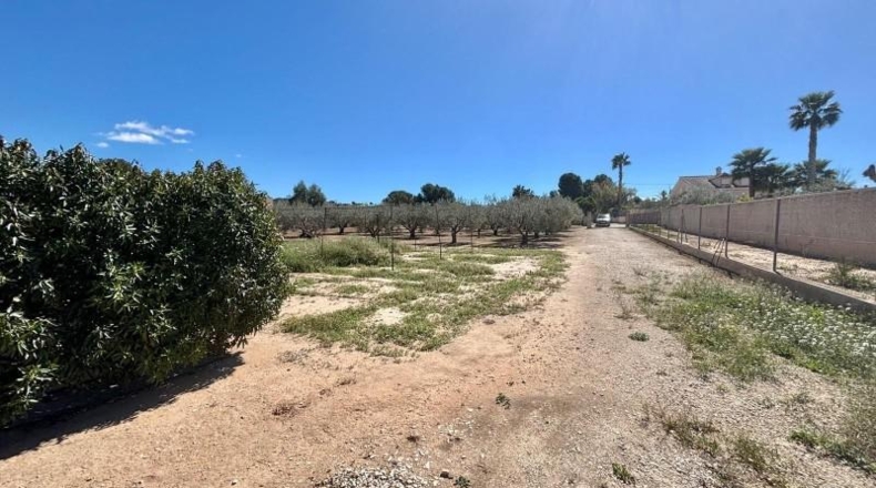 Alicante - Aspe - 3500m2
