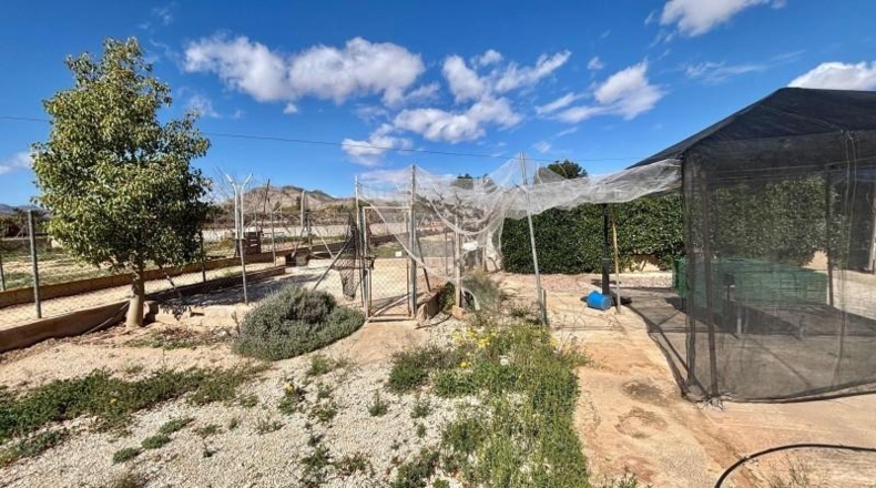 Alicante - Aspe - 3500m2