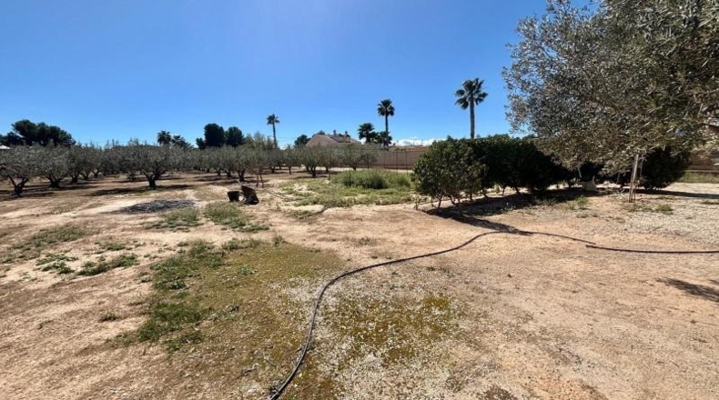 Alicante - Aspe - 3500m2