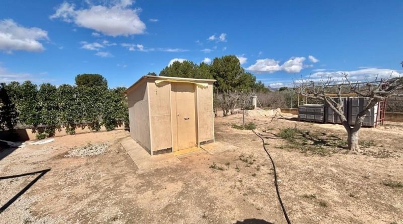 Alicante - Aspe - 3500m2