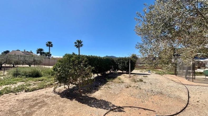 Alicante - Aspe - 3500m2