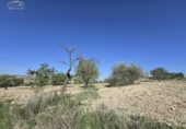 Non-developable land for sale on España, Aspe, ref: TR309903 photo