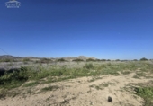 Non-developable land for sale on España, Aspe, ref: TR309903 photo