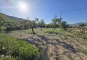 Non-developable land for sale on España, Aspe, ref: TR309903 photo