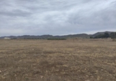 Non-developable land for sale on España, Lorca, ref: TR123851 photo