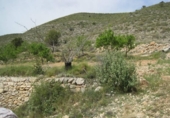 Terreny no urbanitzable en venda a la España, el Fondó de les Neus, ref.: TR364672 foto
