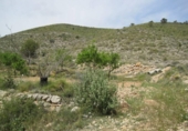 Terreny no urbanitzable en venda a la España, el Fondó de les Neus, ref.: TR364672 foto