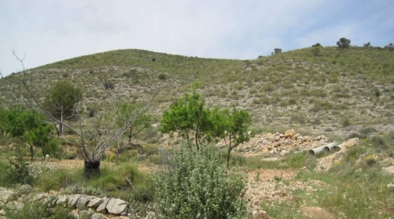 Аликанте - el Fondó de les Neus - 12000m2