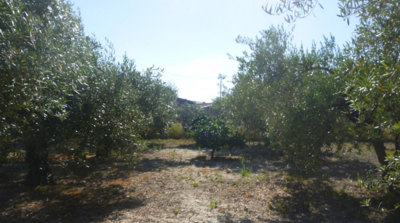 València - Onteniente - 1637m2