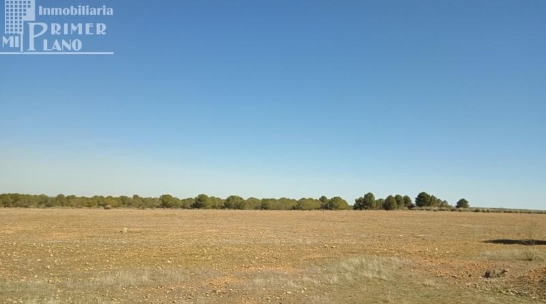 Ciudad Real - Tomelloso - 106141m2
