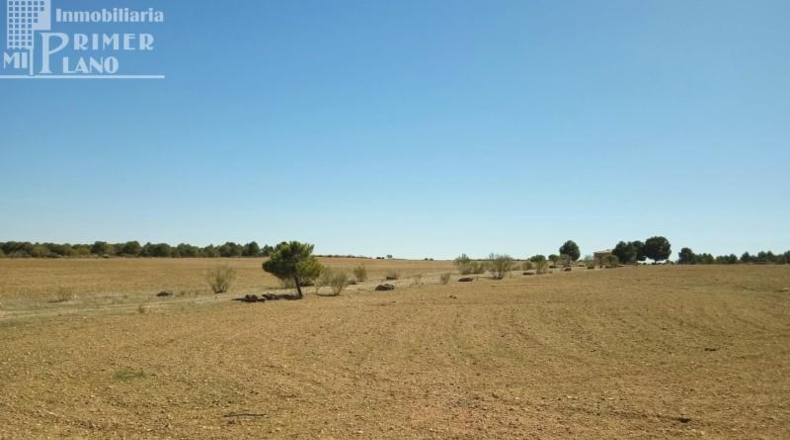 Ciudad Real - Tomelloso - 106141m2